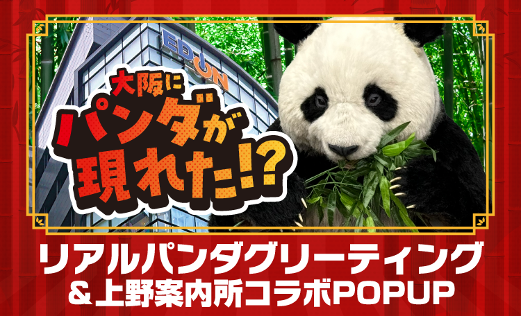 リアルパンダがやってくる⁉上野案内所コラボグッズ即売会開催！｜EDION